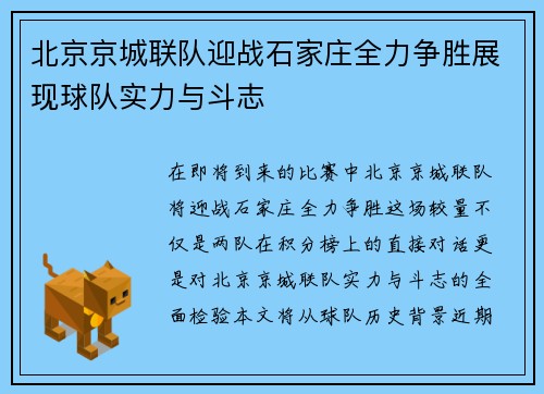 北京京城联队迎战石家庄全力争胜展现球队实力与斗志